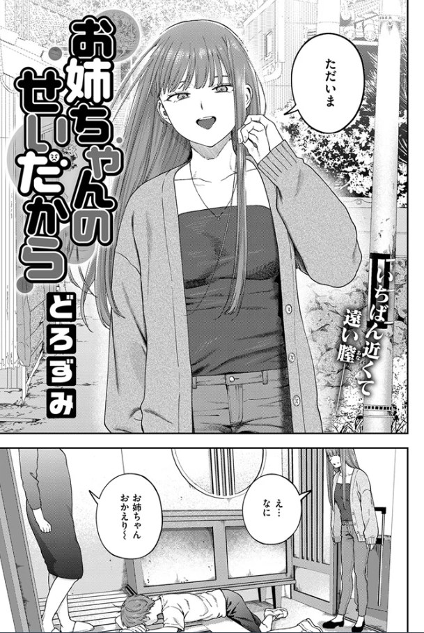 お姉ちゃんのせいだから【どろずみ】